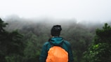 A person with an orange backpack and black beanie stands facing away, surrounded by lush green forest partially obscured by mist. The atmosphere is serene and mystical, with a sense of tranquility and solitude as the fog envelops the distant trees.