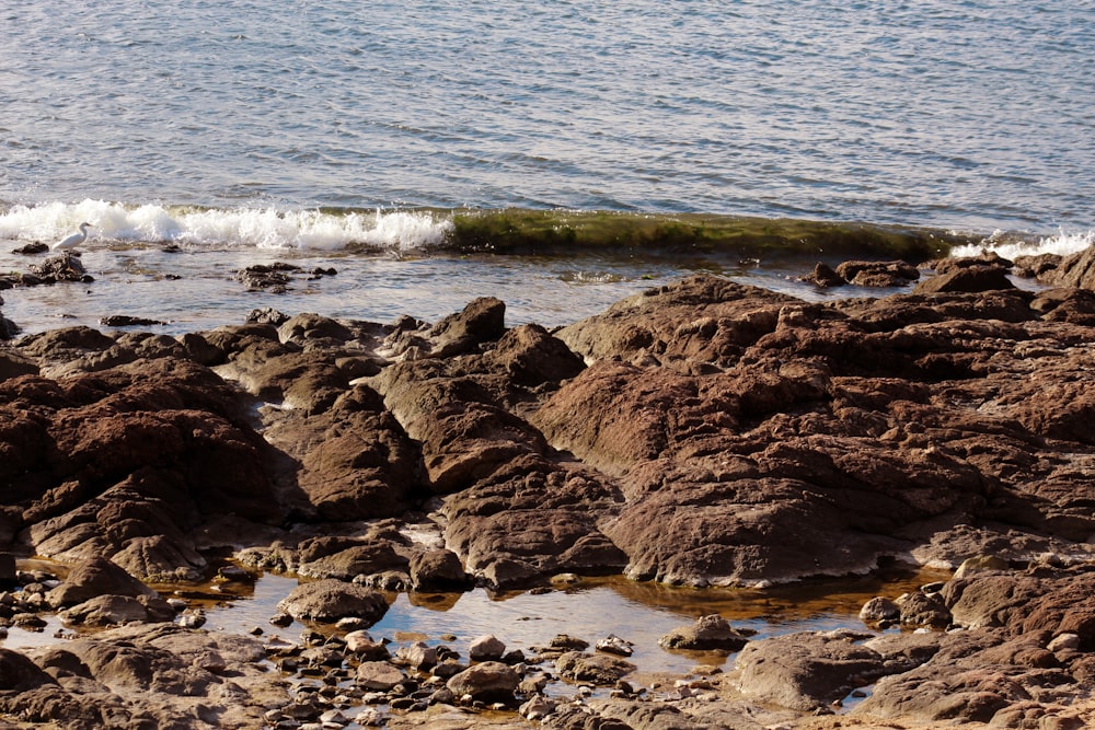 architectural photography of brown rock formation