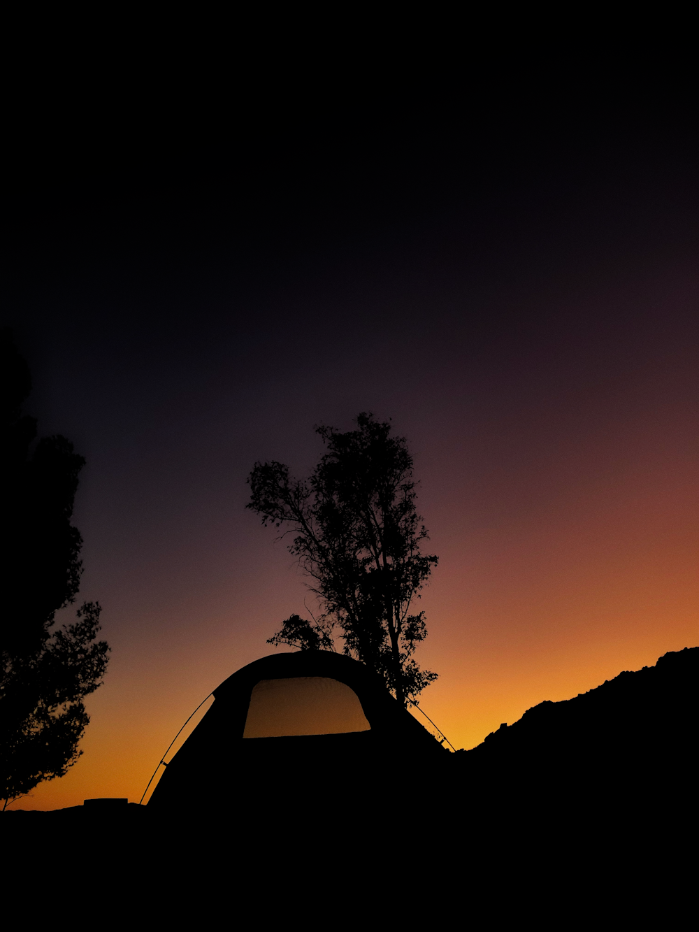 silhouette of tent under tree during golden hour