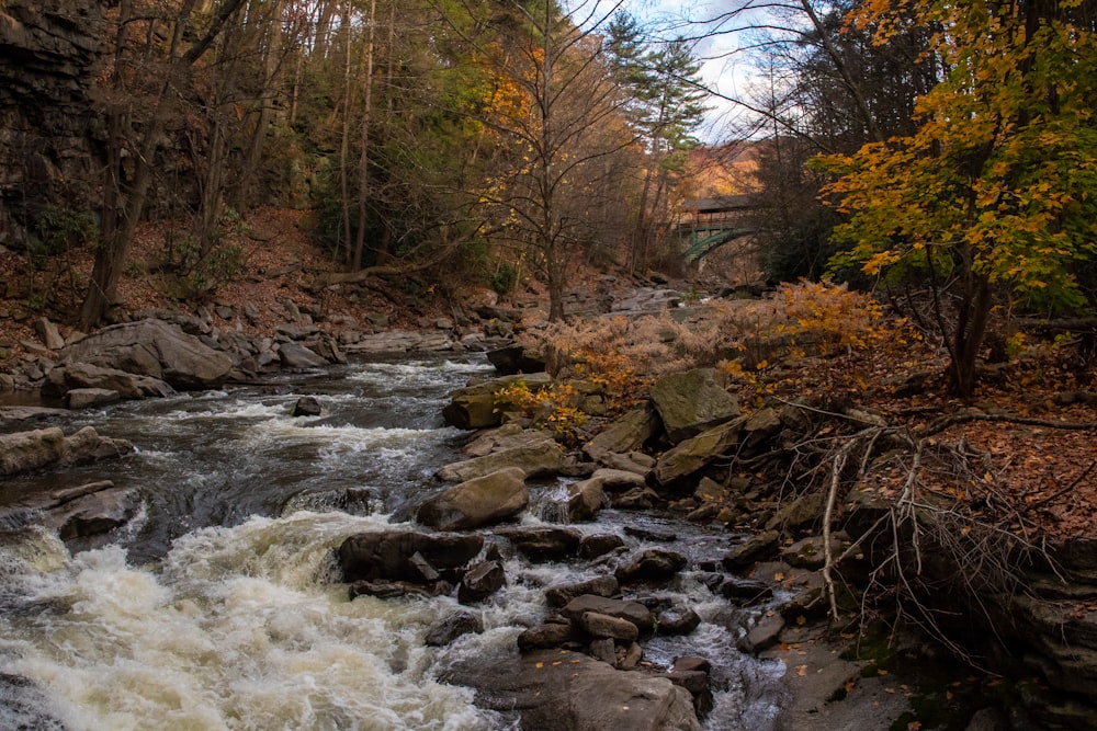 long-exposure photography of river