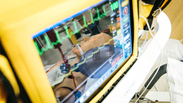 Patient monitor display