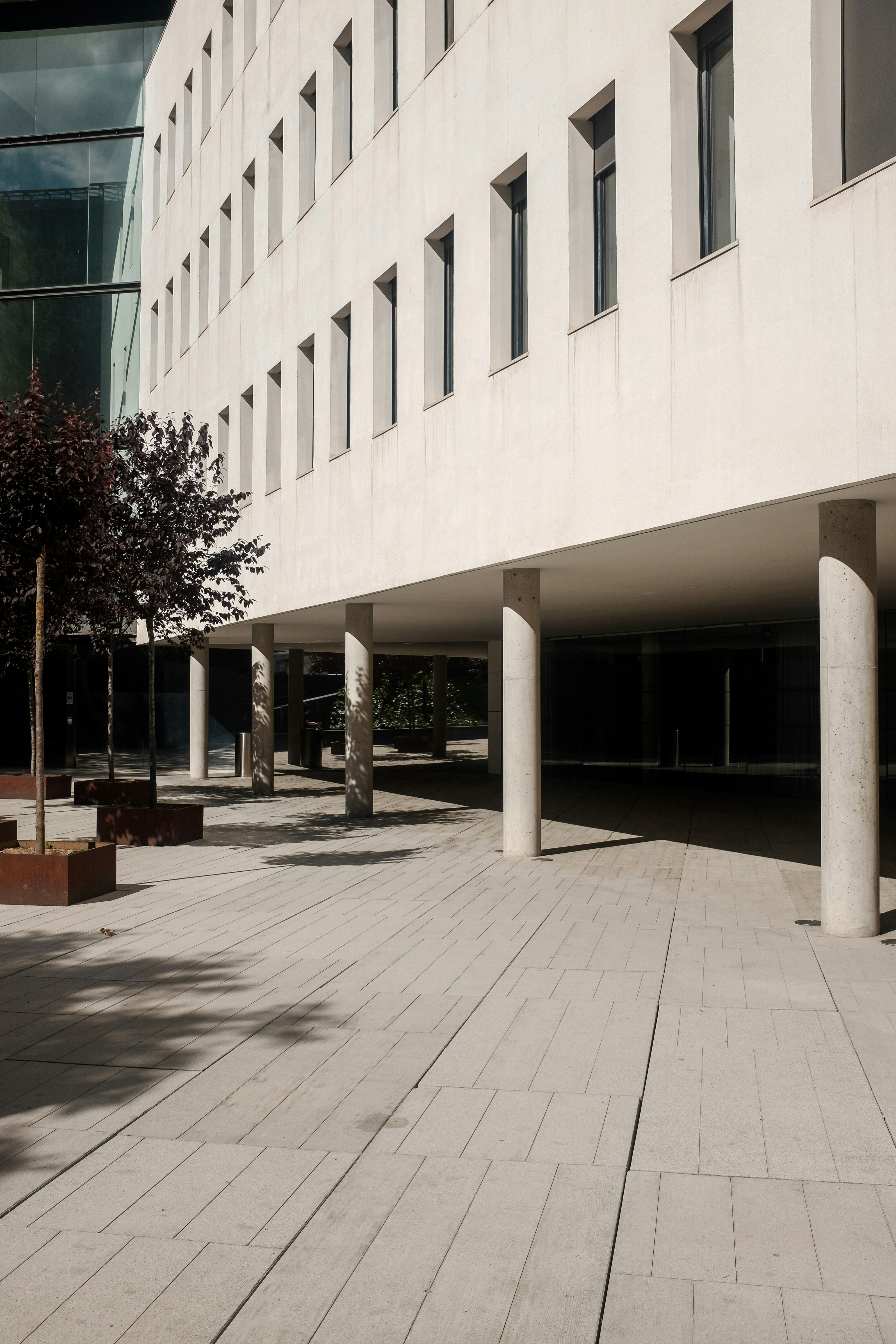 green tree in front of white concrete building during daytime