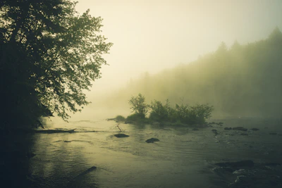 A serene meditation scene by a calm riverbank with soft morning light filtering through ancient trees.