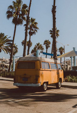 A camper van parked by a tropical beach with palm trees and turquoise water.