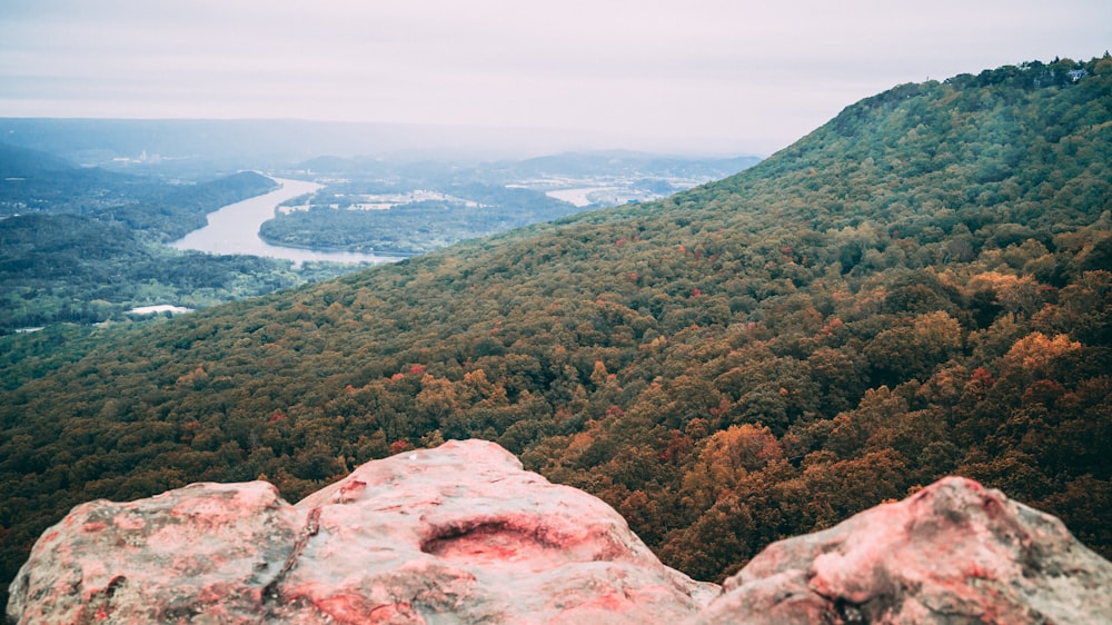 aerial photography of trees and mountain range during daytime