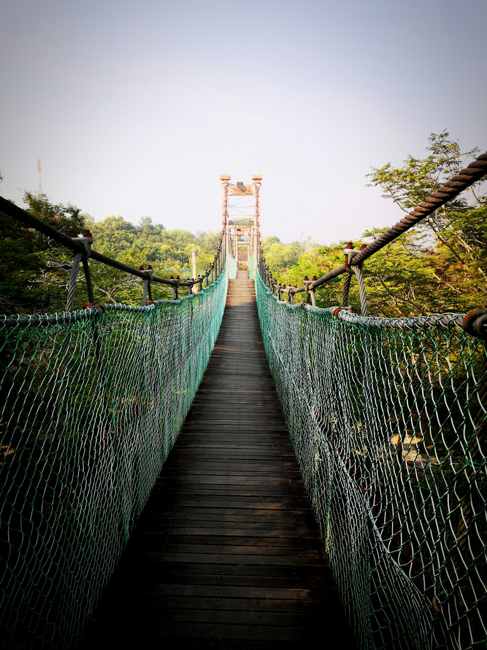 black and green bridge