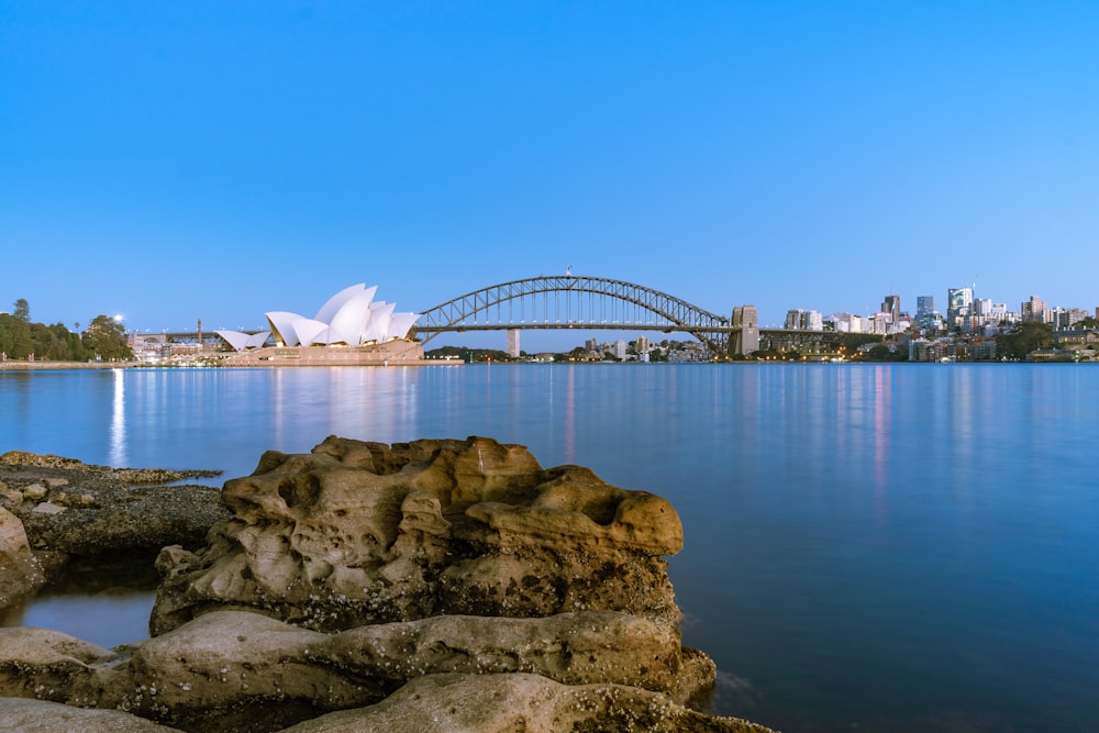 architectural photogrtaphy of tied-arch bridge