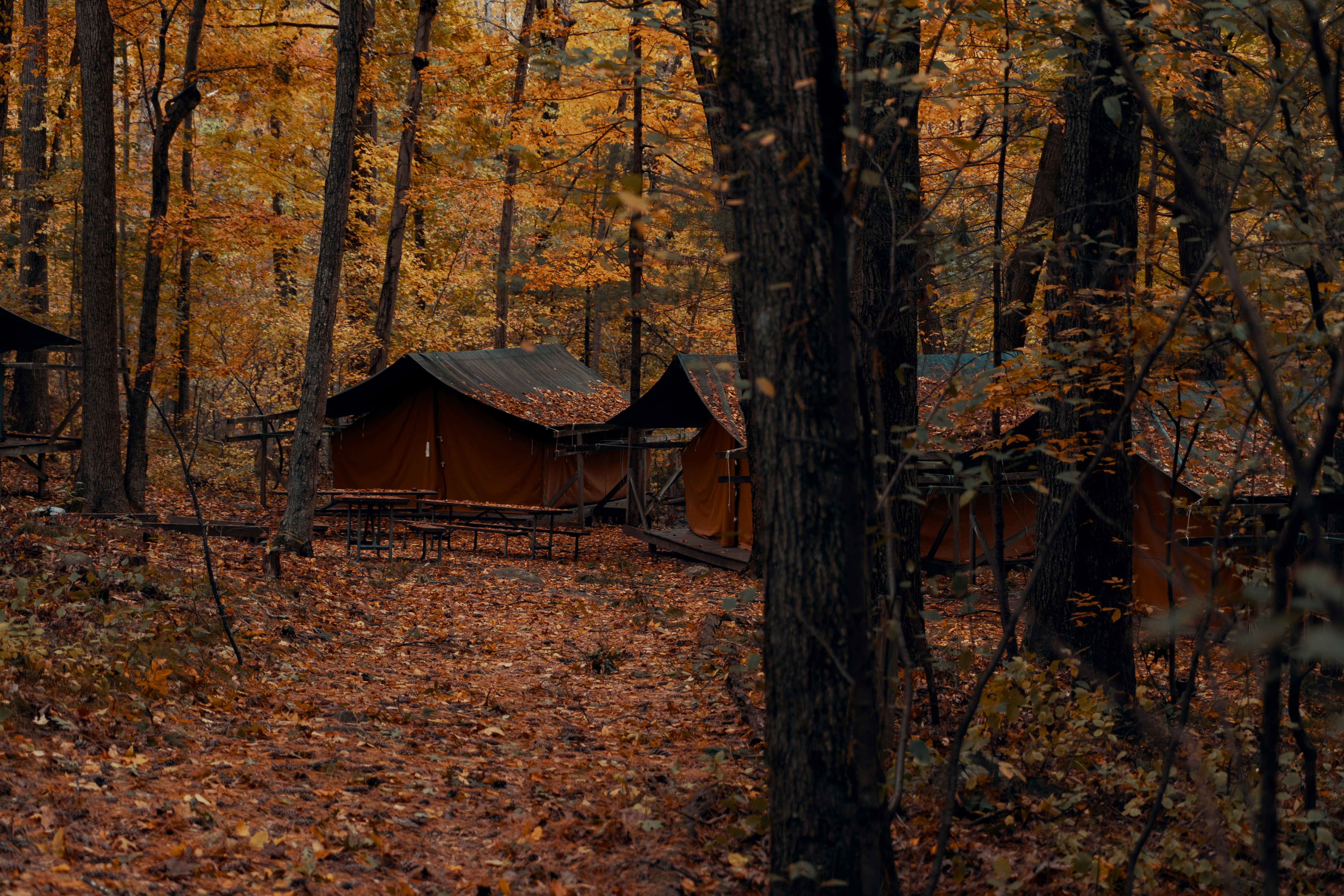 cozy cabin in the Catskills during autumn - weekend getaways from nyc