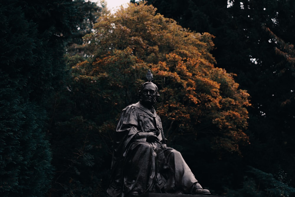 human statue during daytime