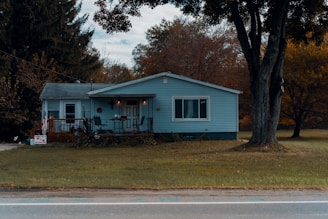 blue house beside tree