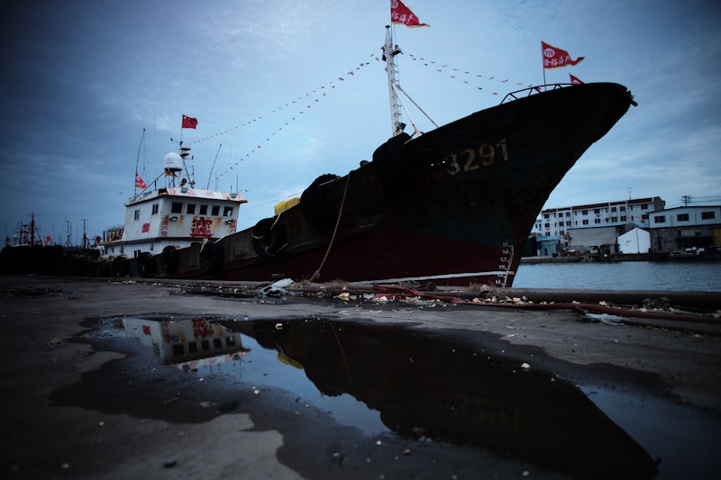 black cruise ship on body of water