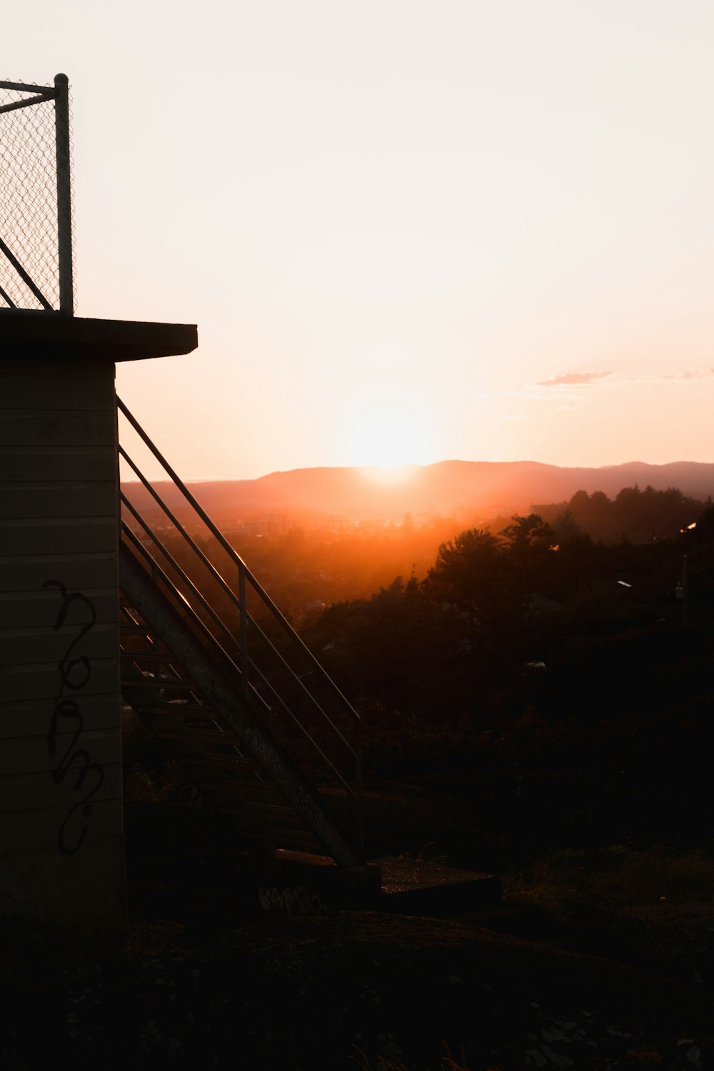 golden hour at forest