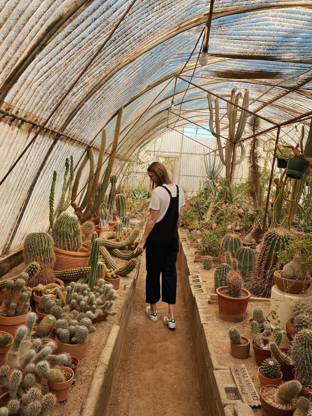 woman walking and looking at cactus