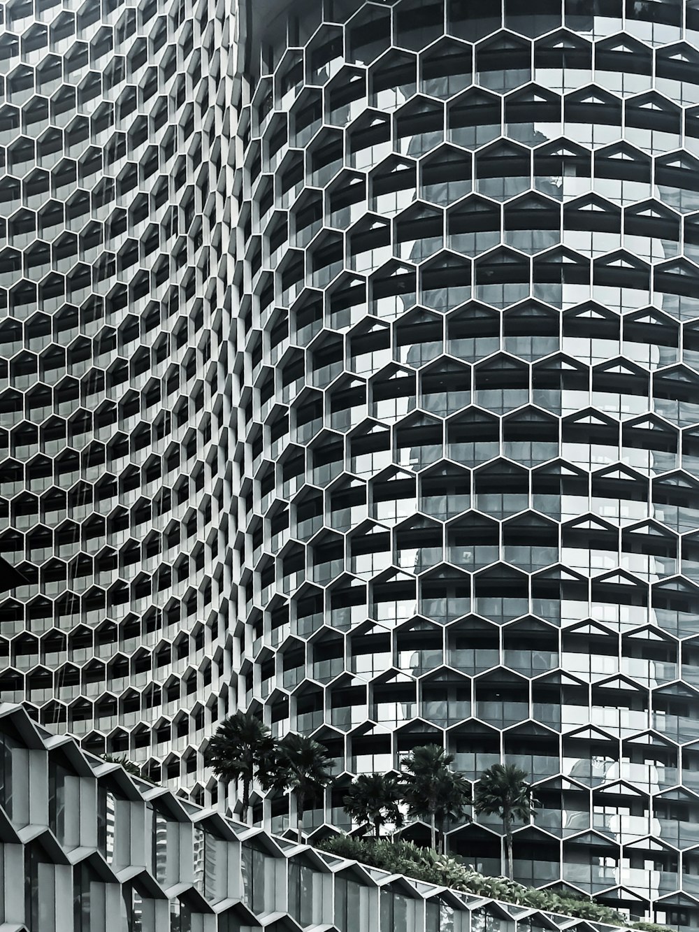 Edificio de gran altura para muro cortina durante el día