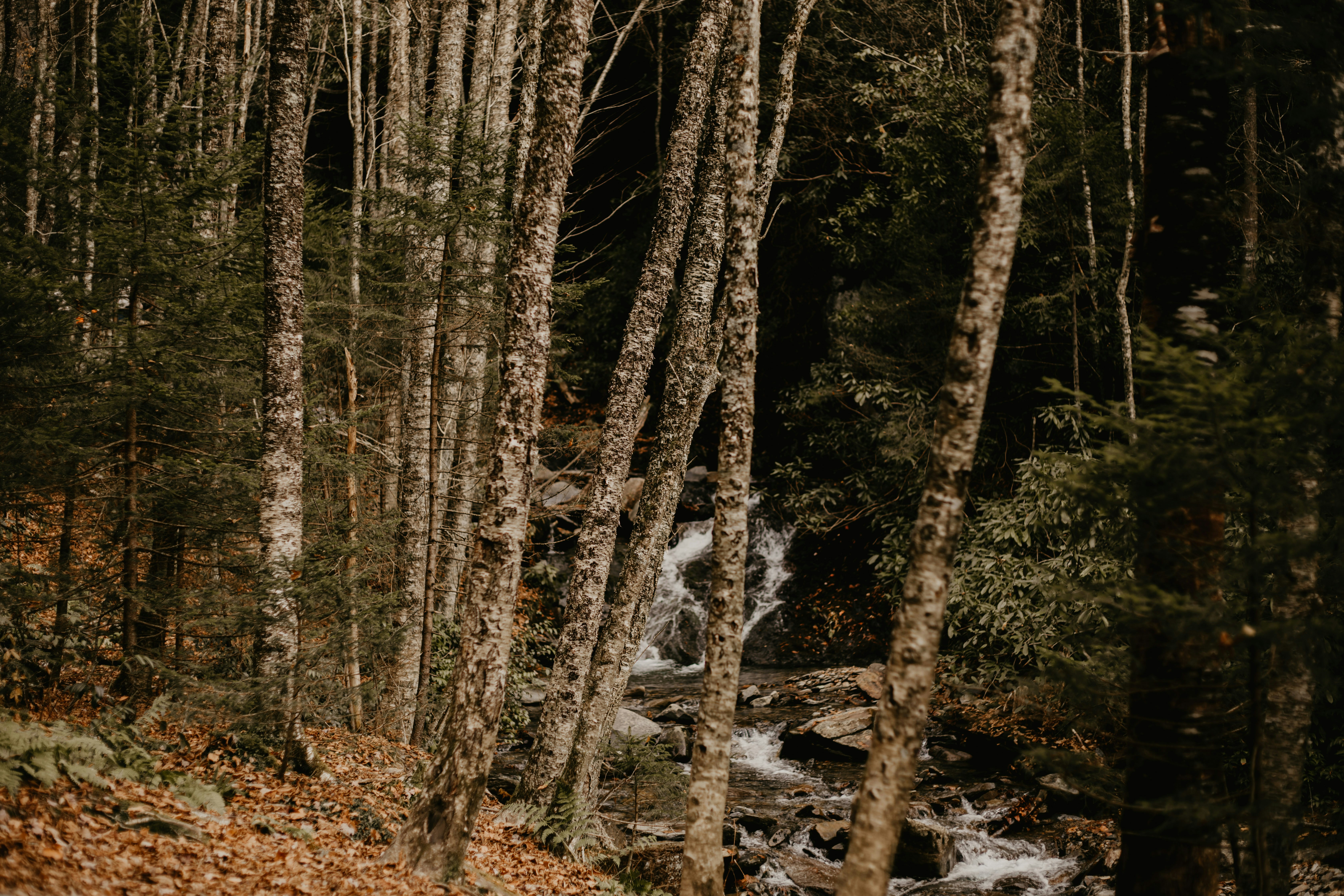 Photo by petalandivy