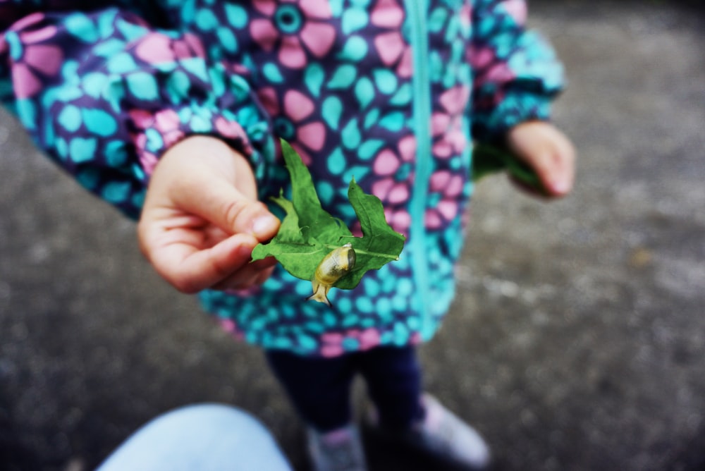 a child holding a leaf in their hand