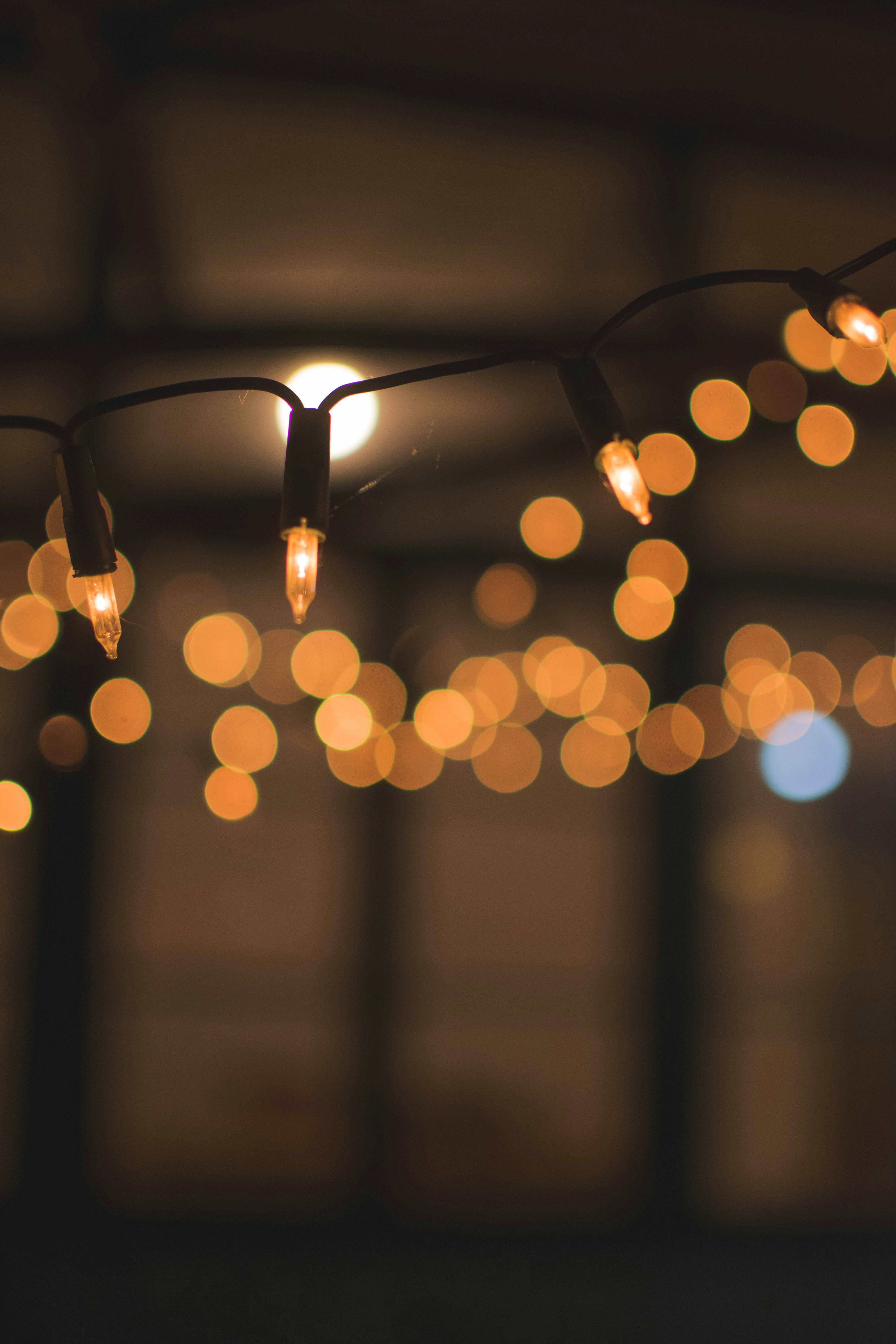 Photo by javideografia