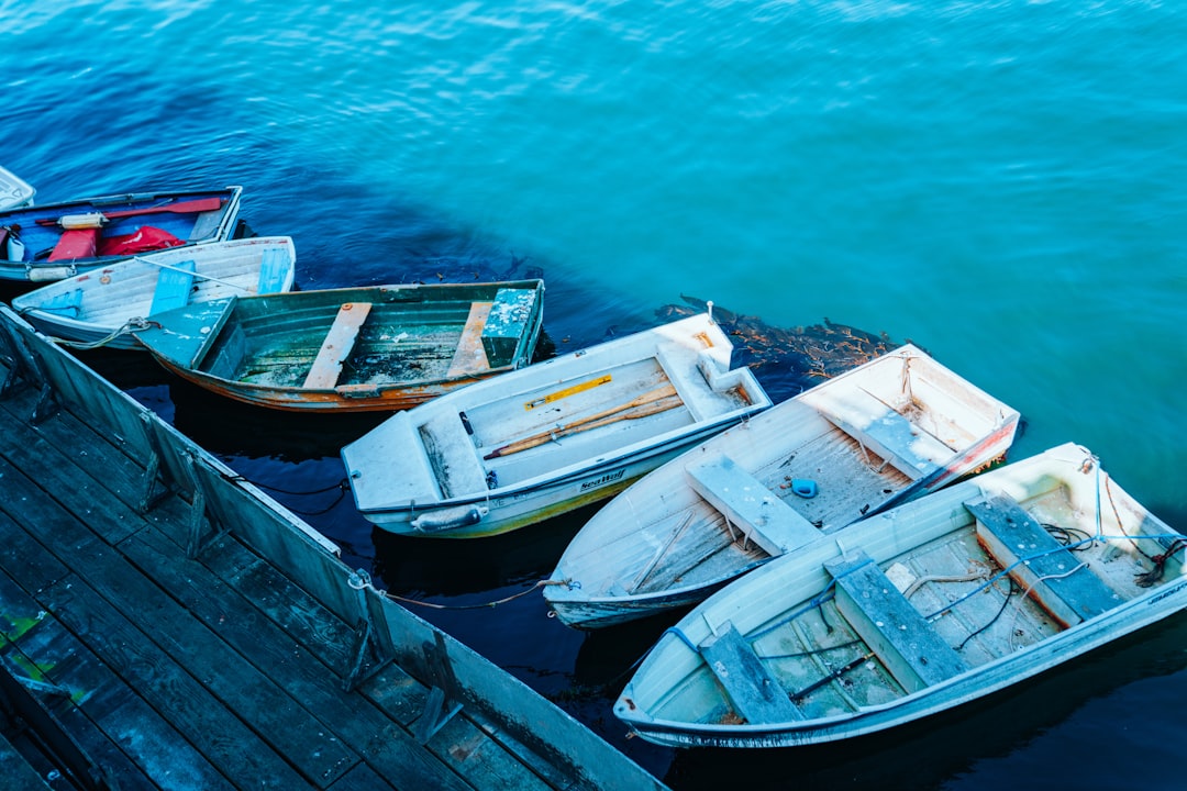 boat on the body of water photograph