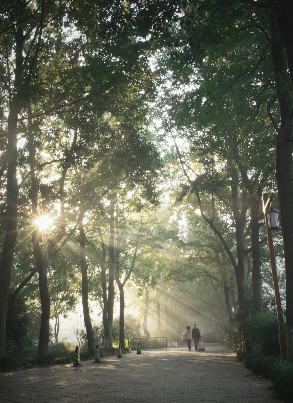 personnes marchant sur le sentier