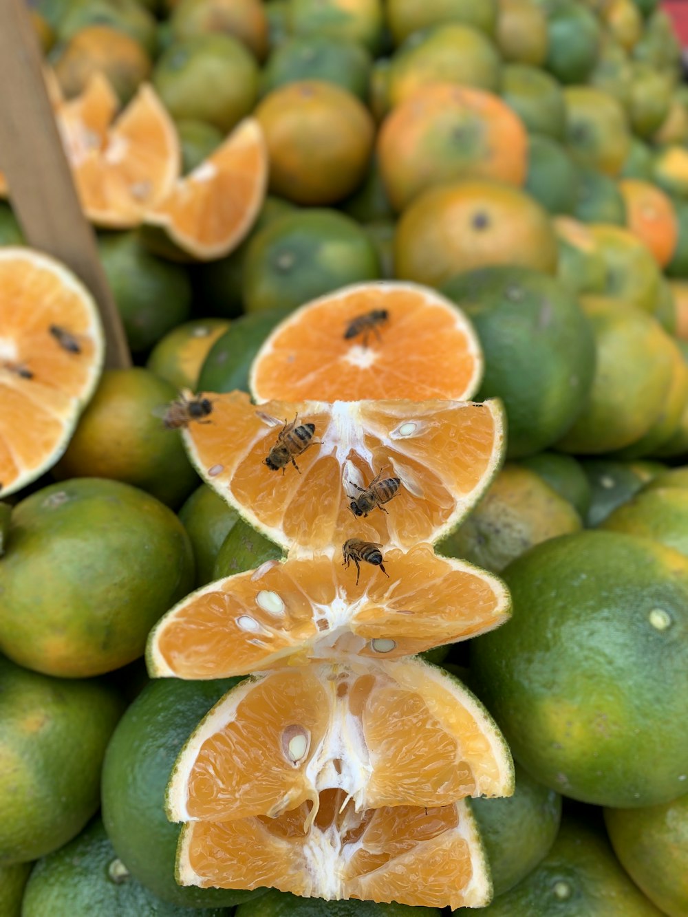 bees on lemon slices