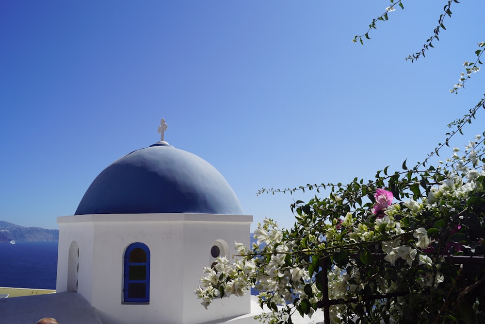 blue and white church with dome near trees