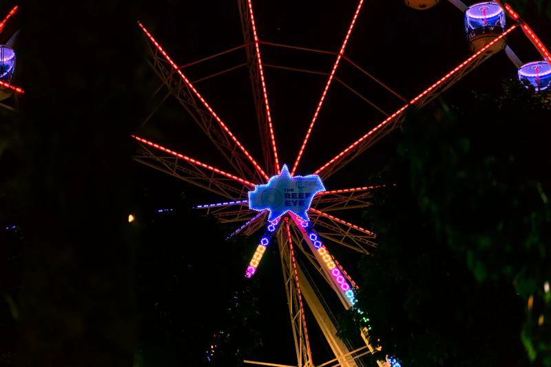 Best Nightlife in Cairns: A Practical Guide to Going Out