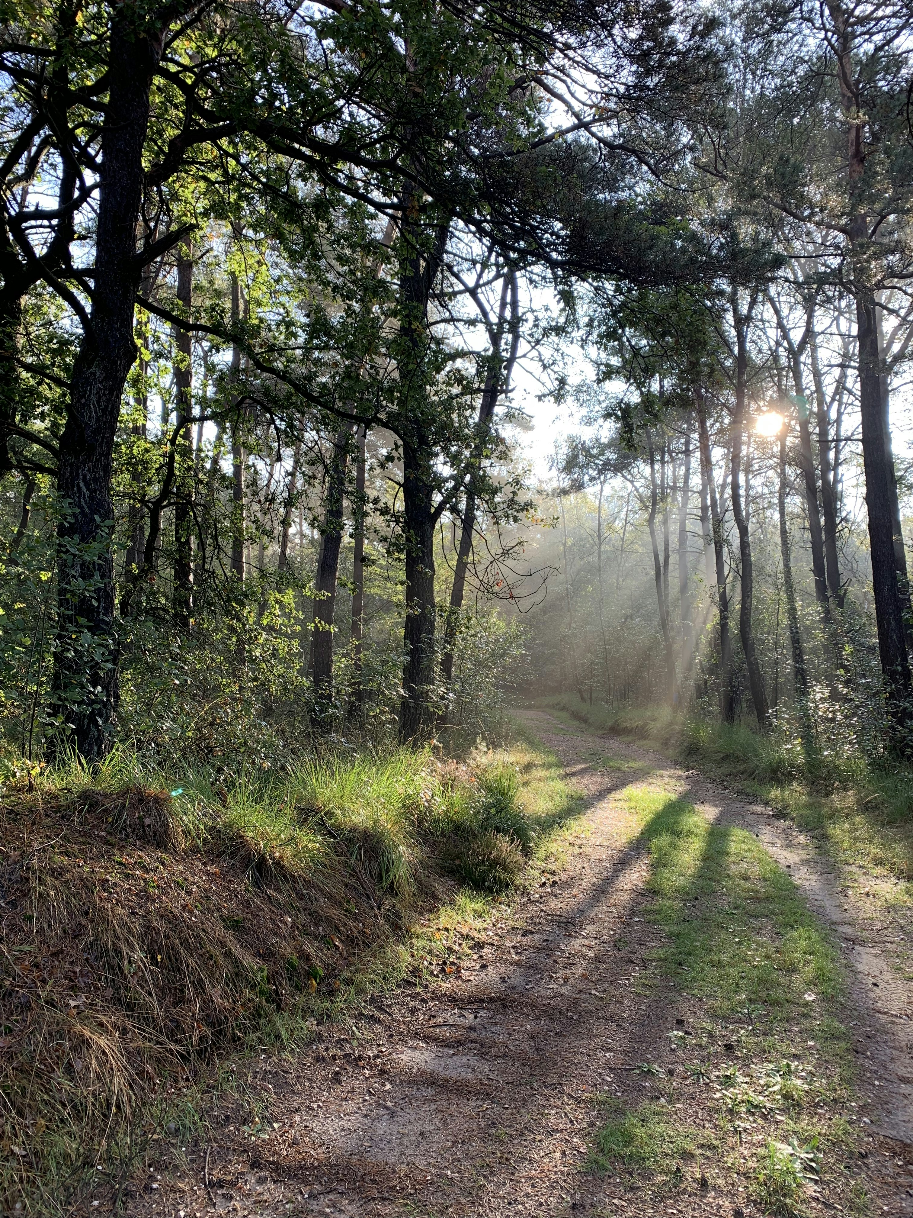 Gelassene Naturwanderung