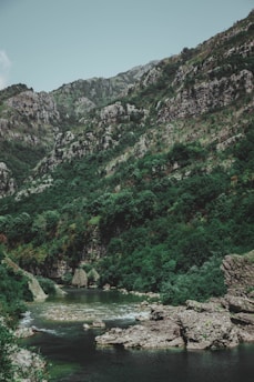 A serene view of the Swat River flowing gently past lush green hills under a clear blue sky.