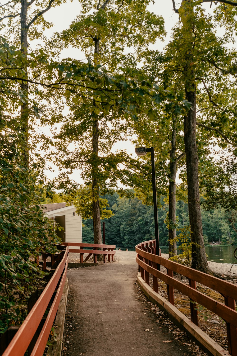 dirt pathway between fences