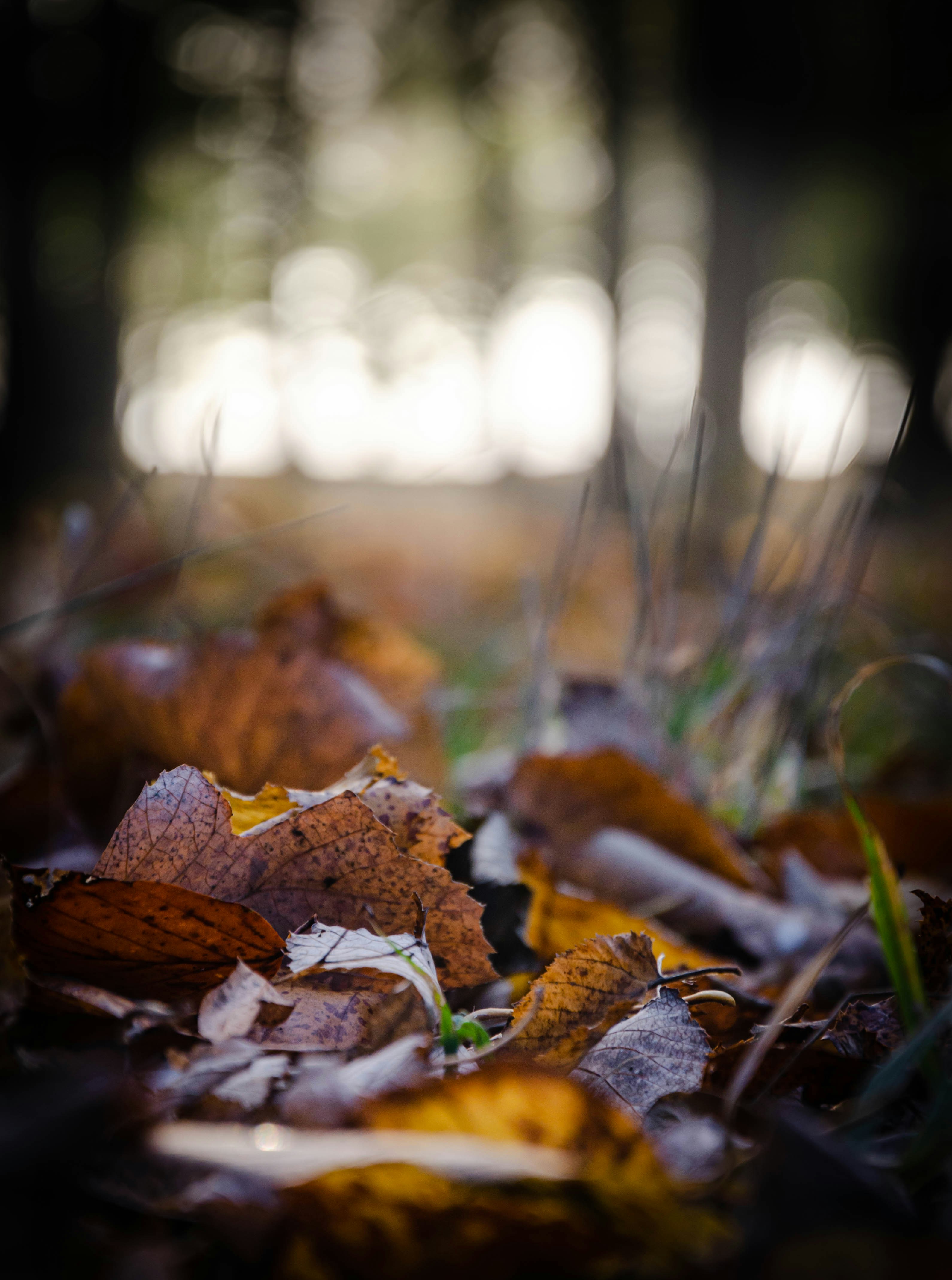 Photo by vladhilitanu