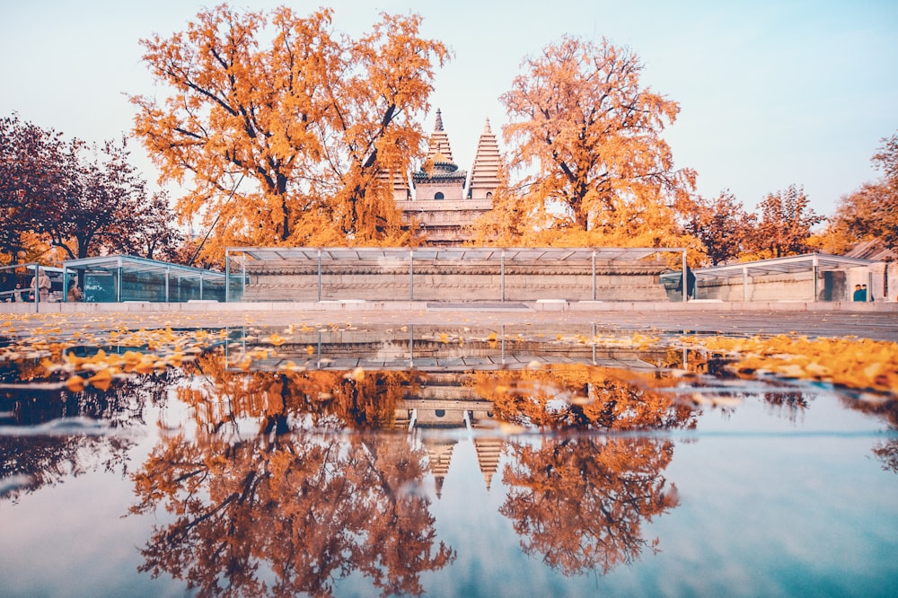 architectural photography of gray monument