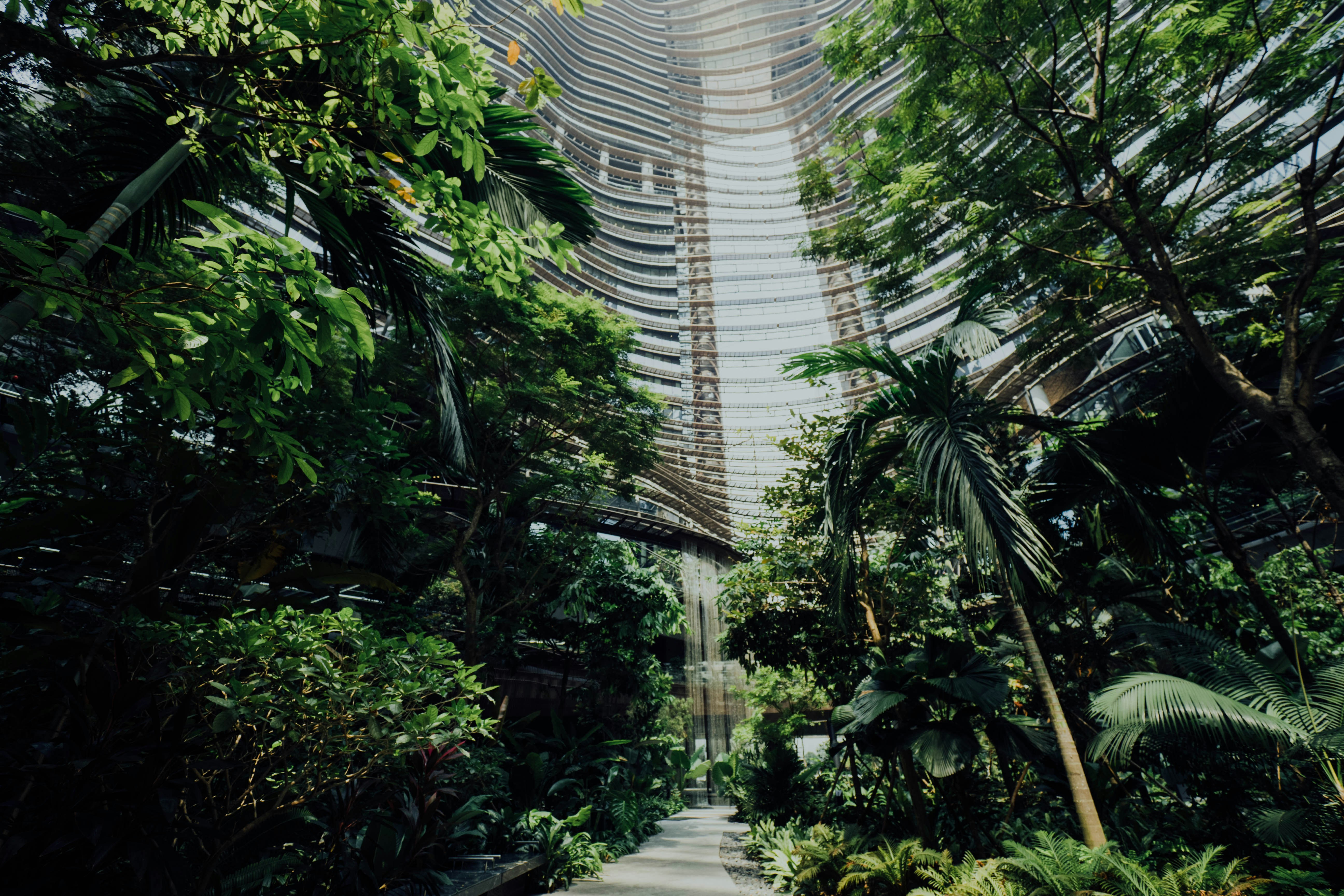 Photo by chuttersnap