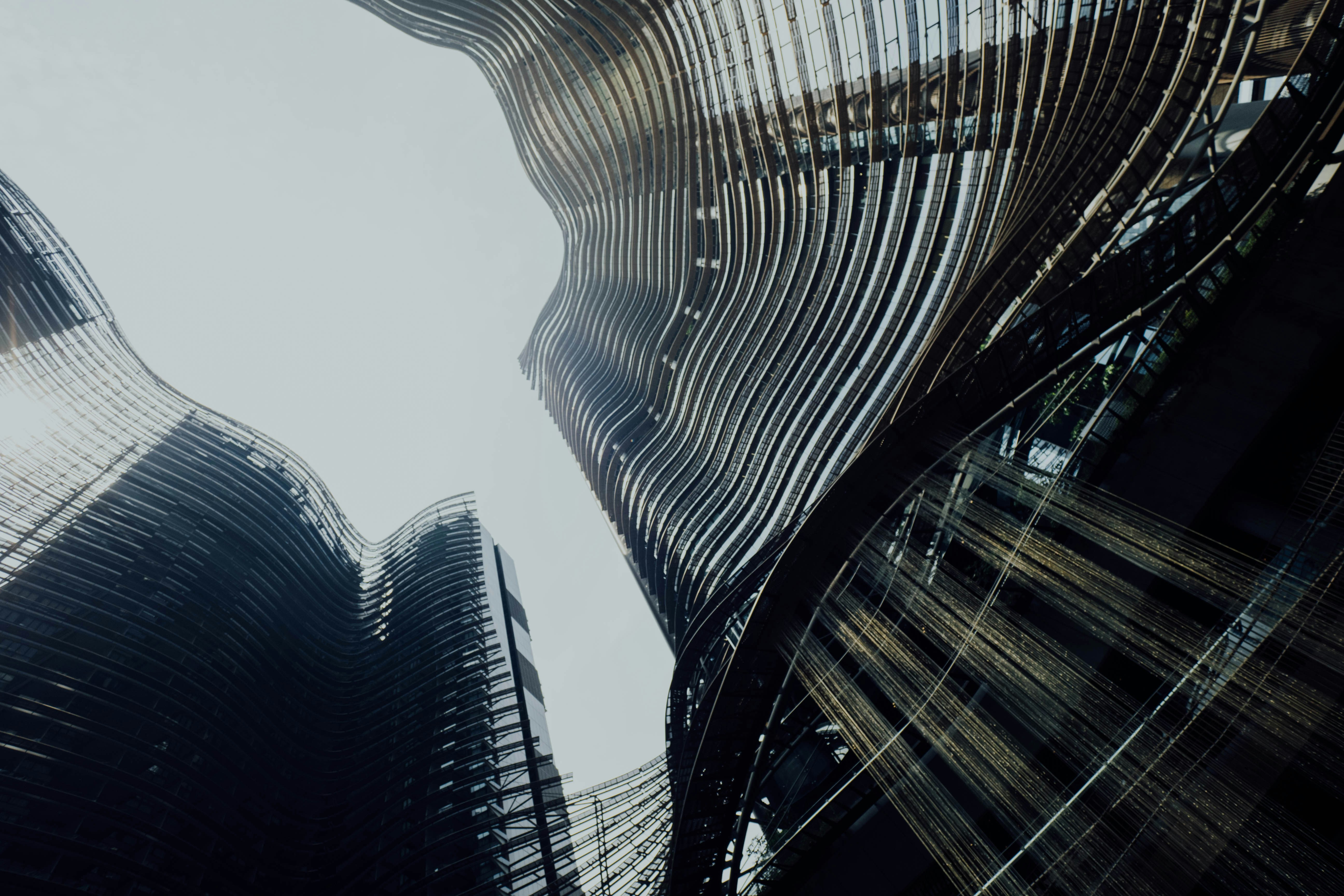 Photo by chuttersnap