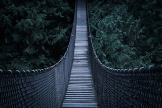 architectural photography of hanging bridge