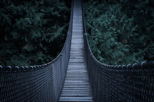architectural photography of hanging bridge