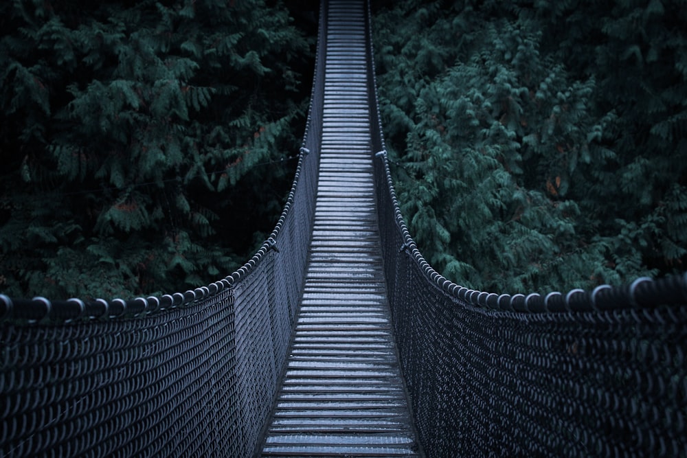 architectural photography of hanging bridge