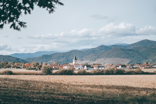 landscape photography of mountain in Aspach-le-Haut France