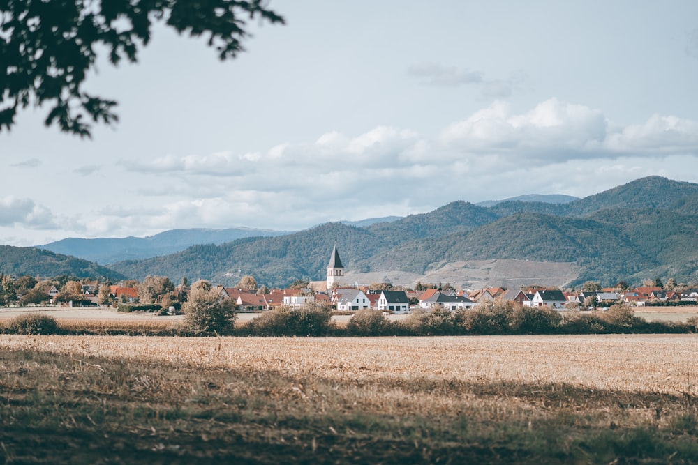 landscape photography of mountain