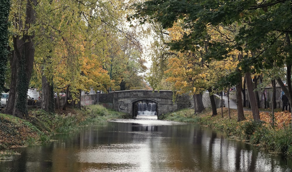 photo of concrete bridge