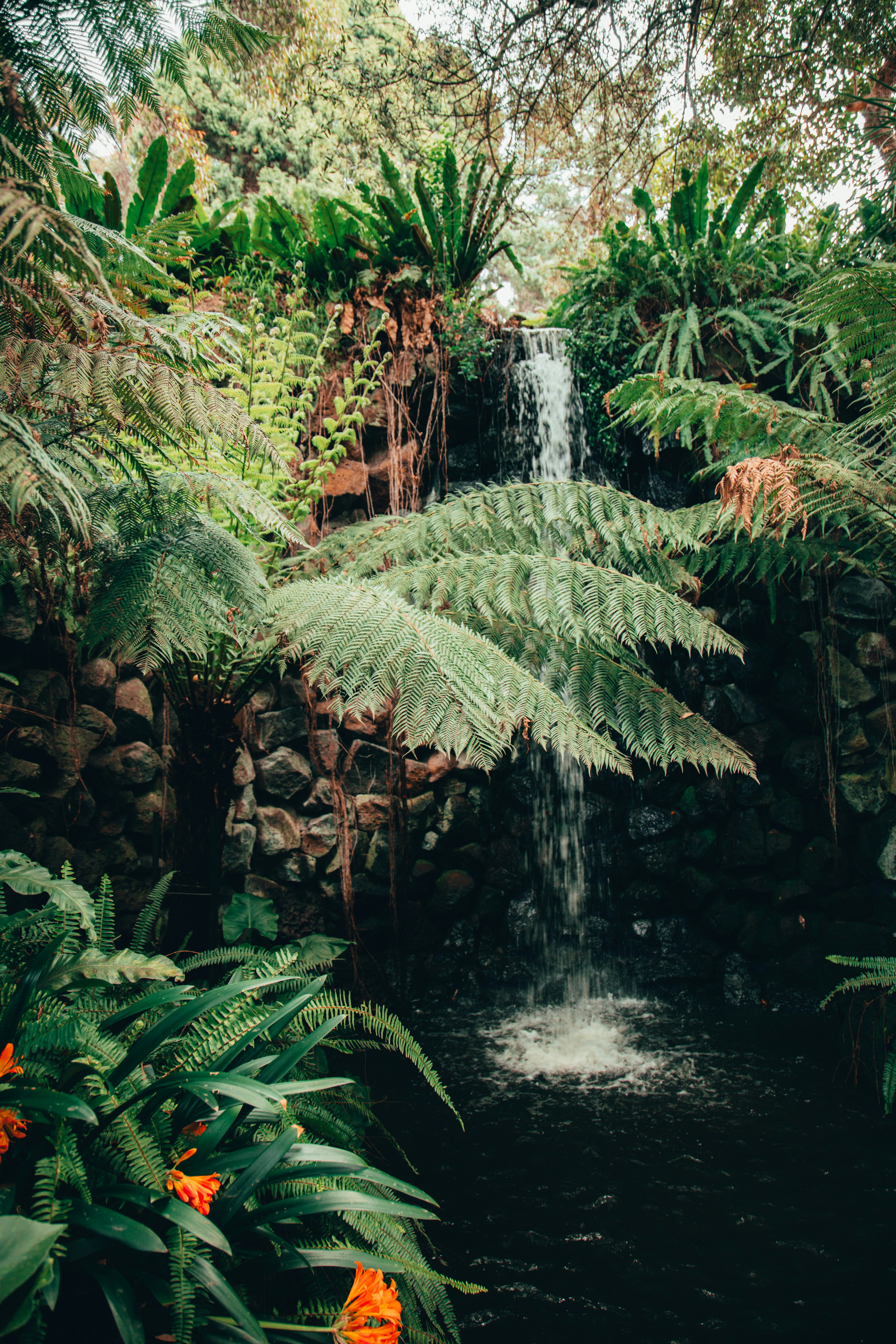 Photo by kellyirenee