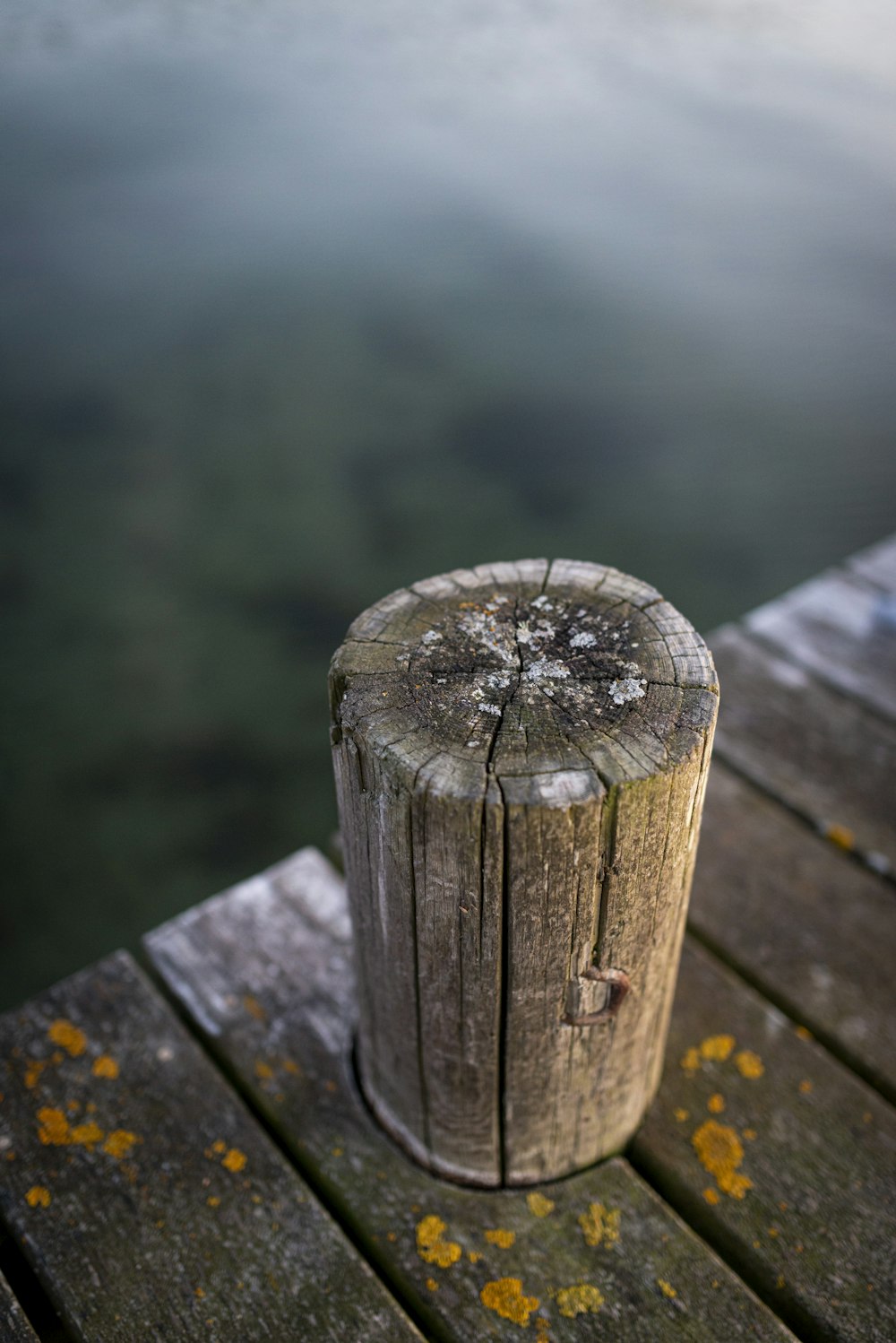 brown wooden log during daytime