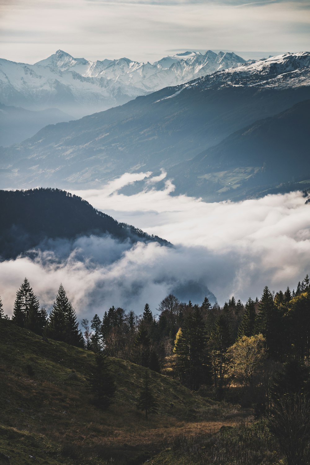 green trees near mountain during daytime