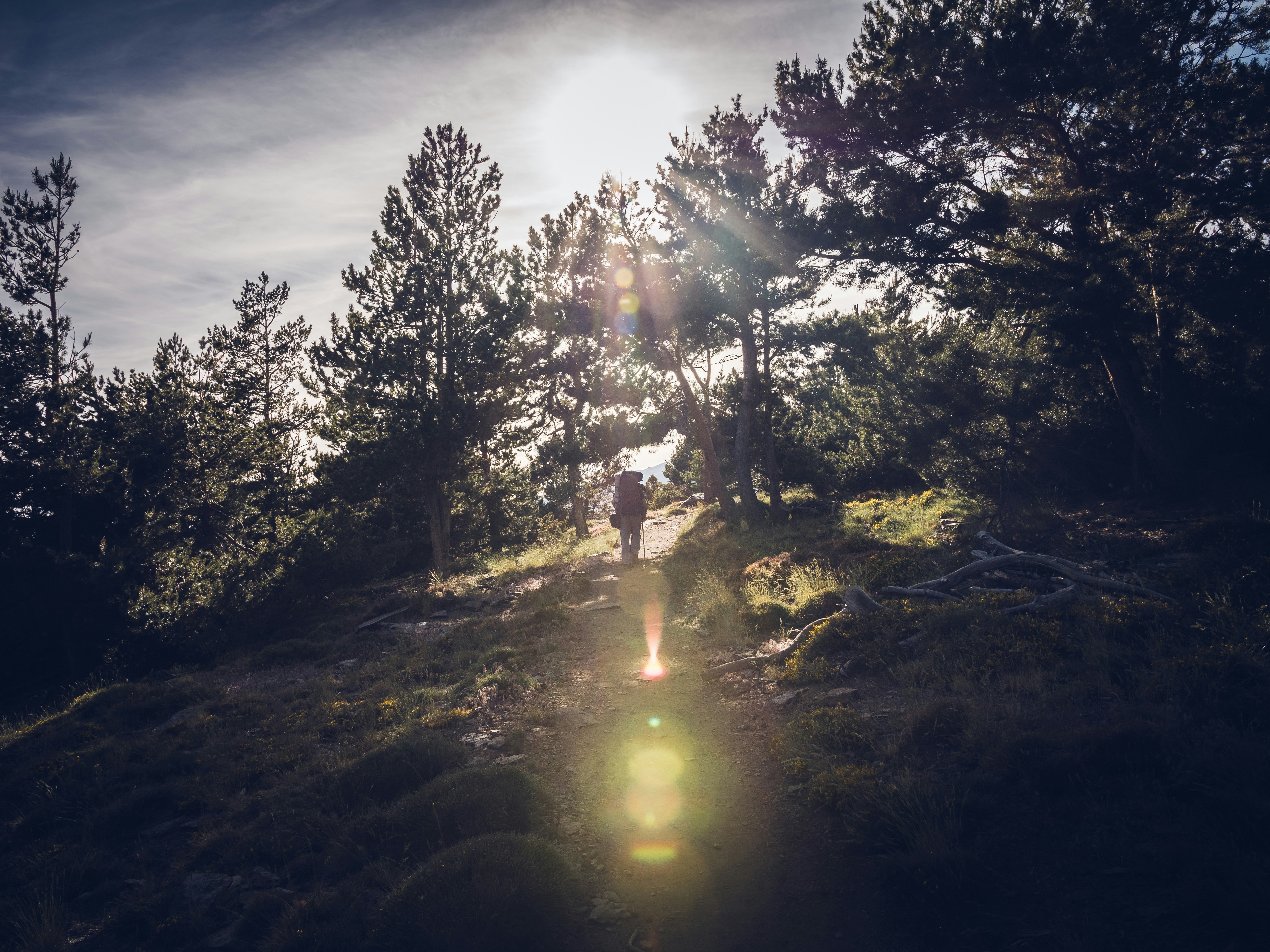 Collector Coin header image