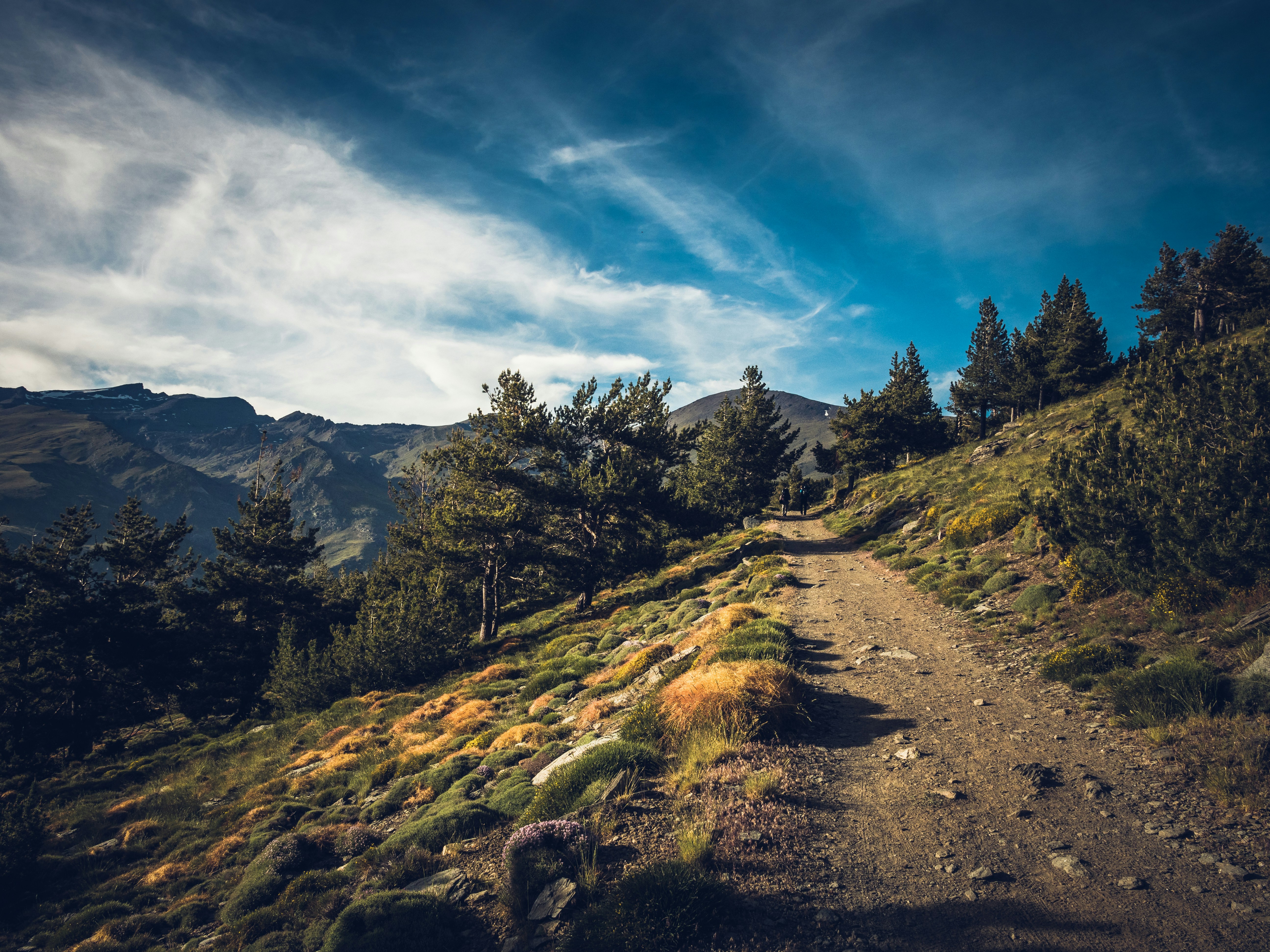 Photo by pablothewarrior