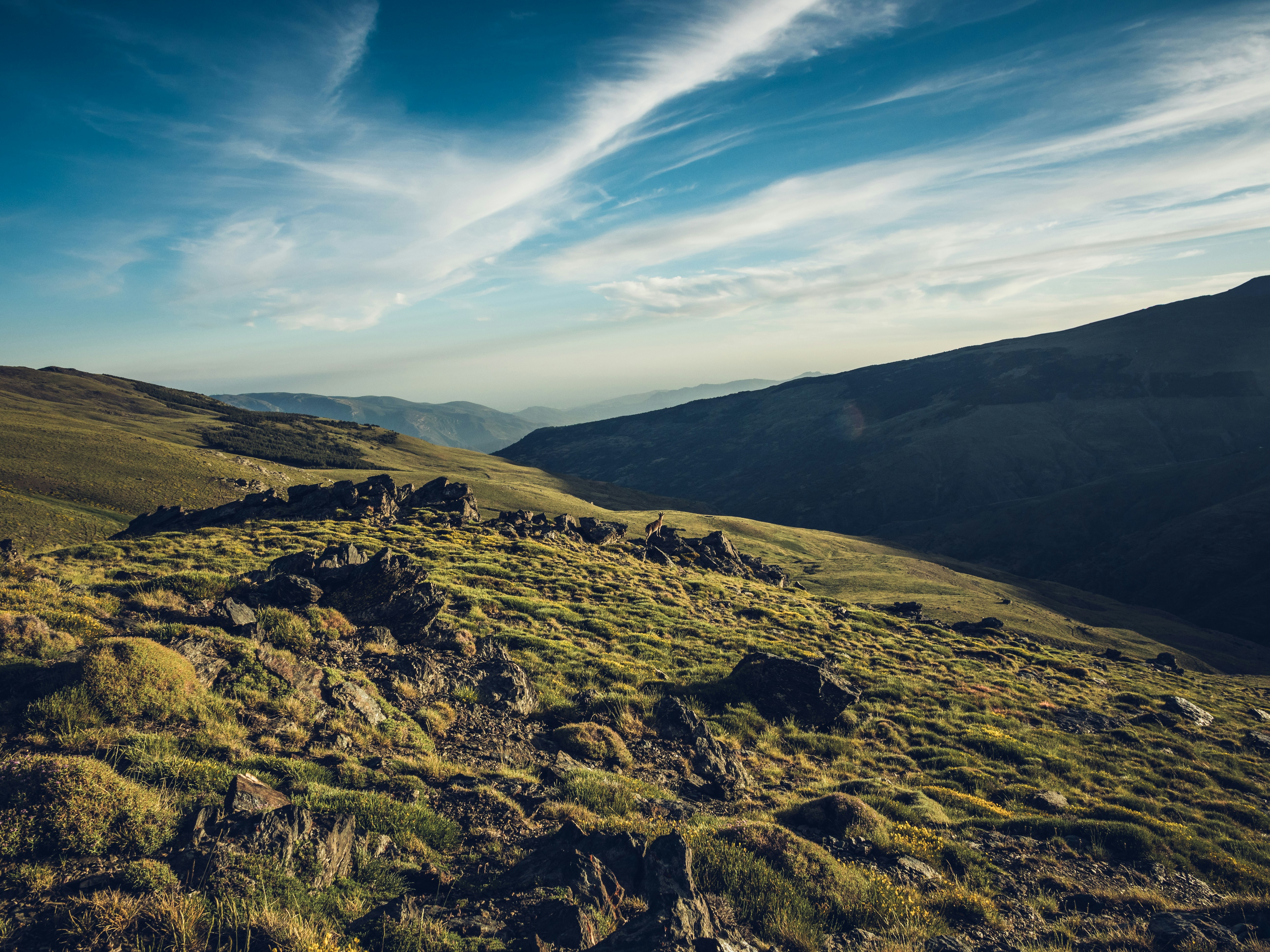 Photo by pablothewarrior