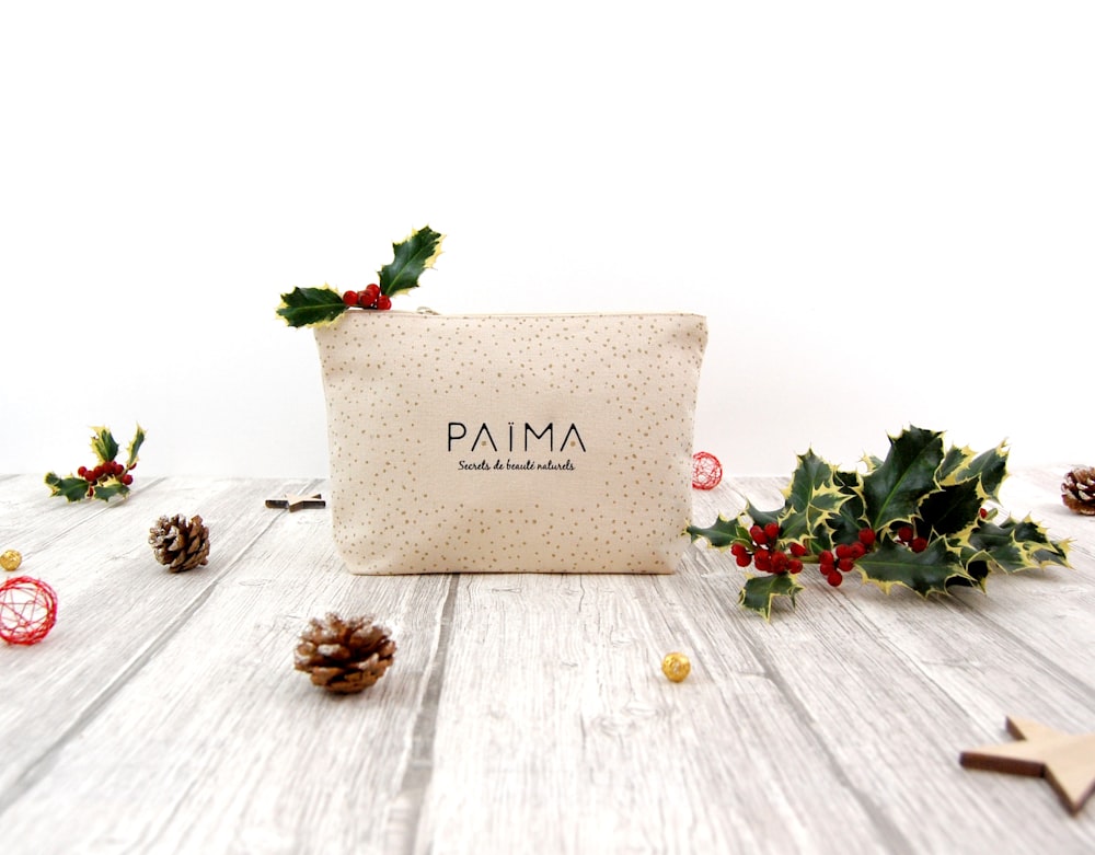 Paima pouch on surface