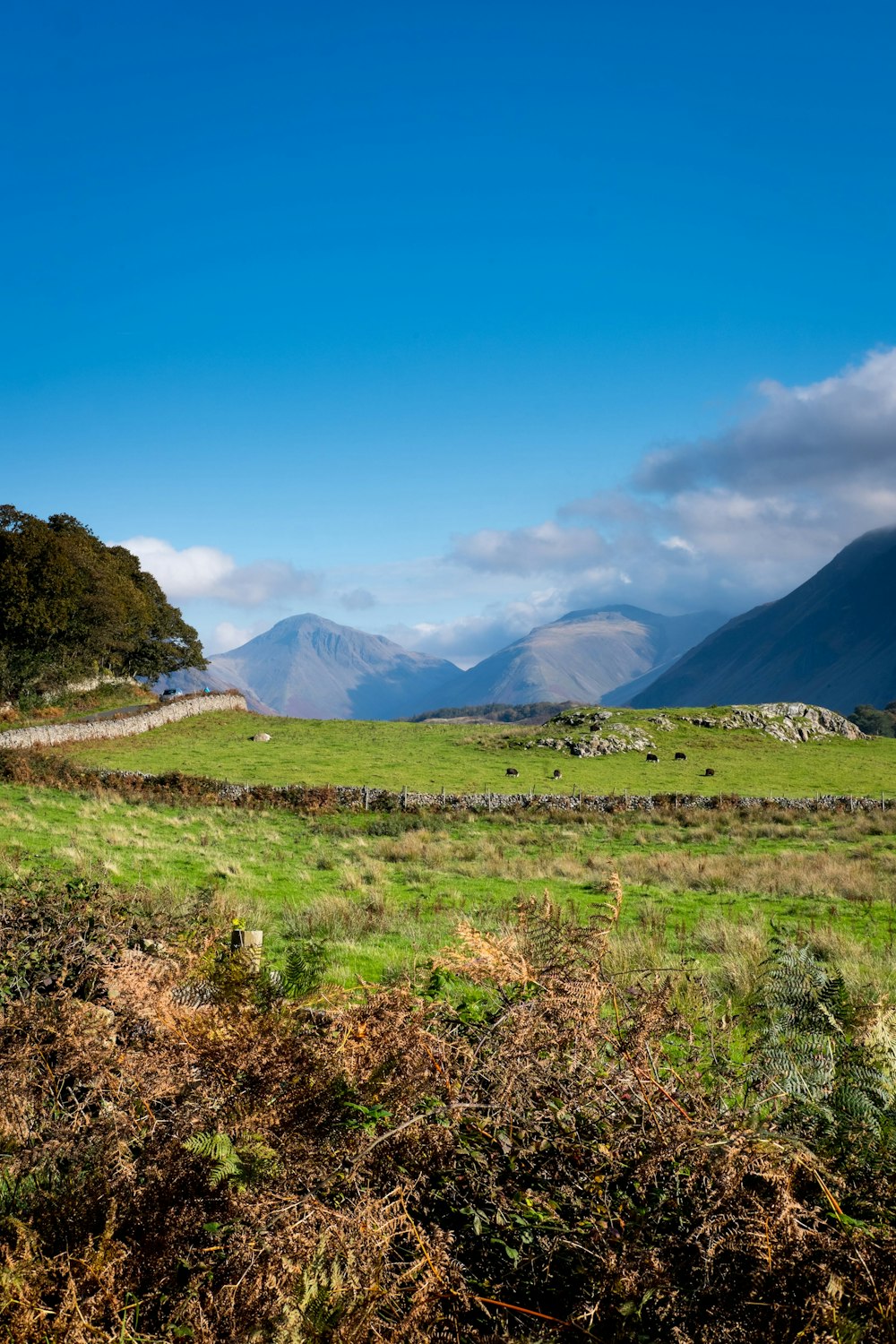 green and brown field near mountains under blue sky