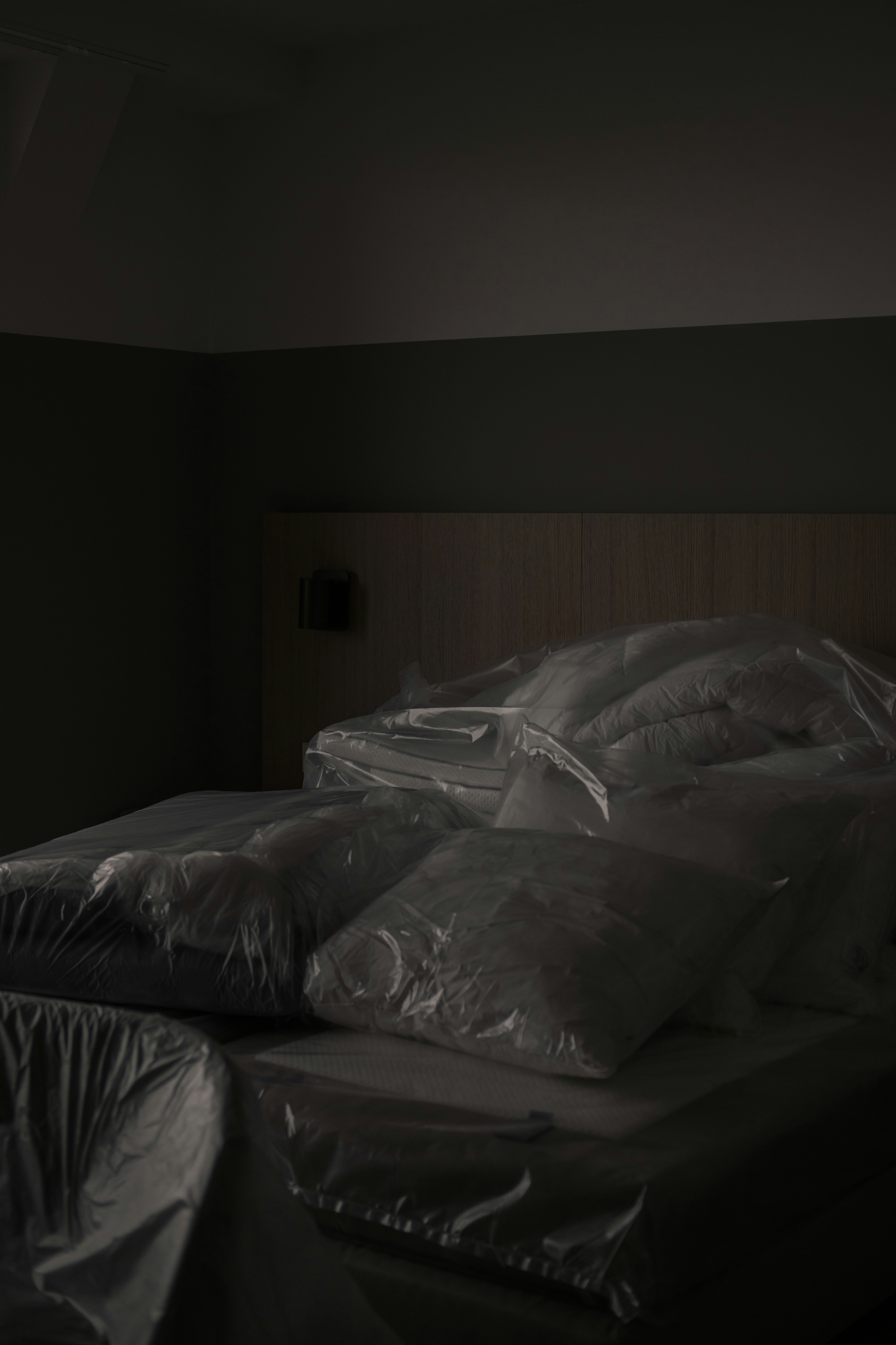 Photo by mimoto_photo