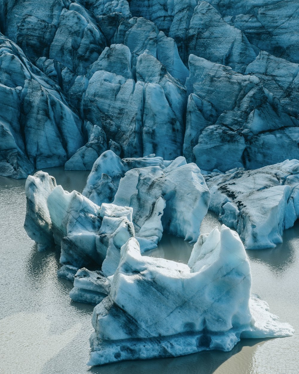 gray and white icebergs