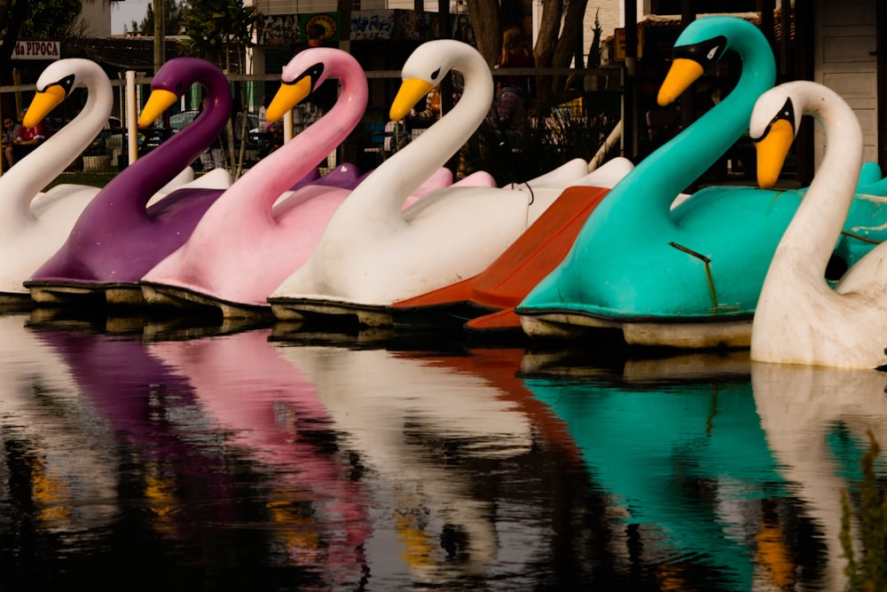 assorted-color swan floats during daytime